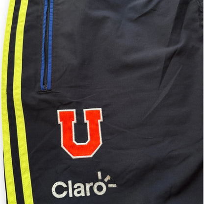 Conjunto térmico Universidad de Chile 2012